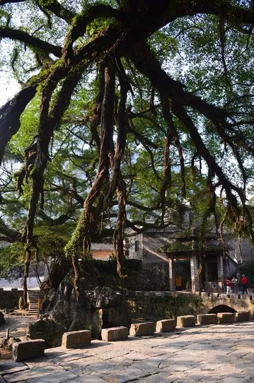 博皓游記 | 夏風(fēng)微醺的綺夢(mèng)，領(lǐng)略賀州黃姚古鎮(zhèn)、姑婆山閑憩之美-12