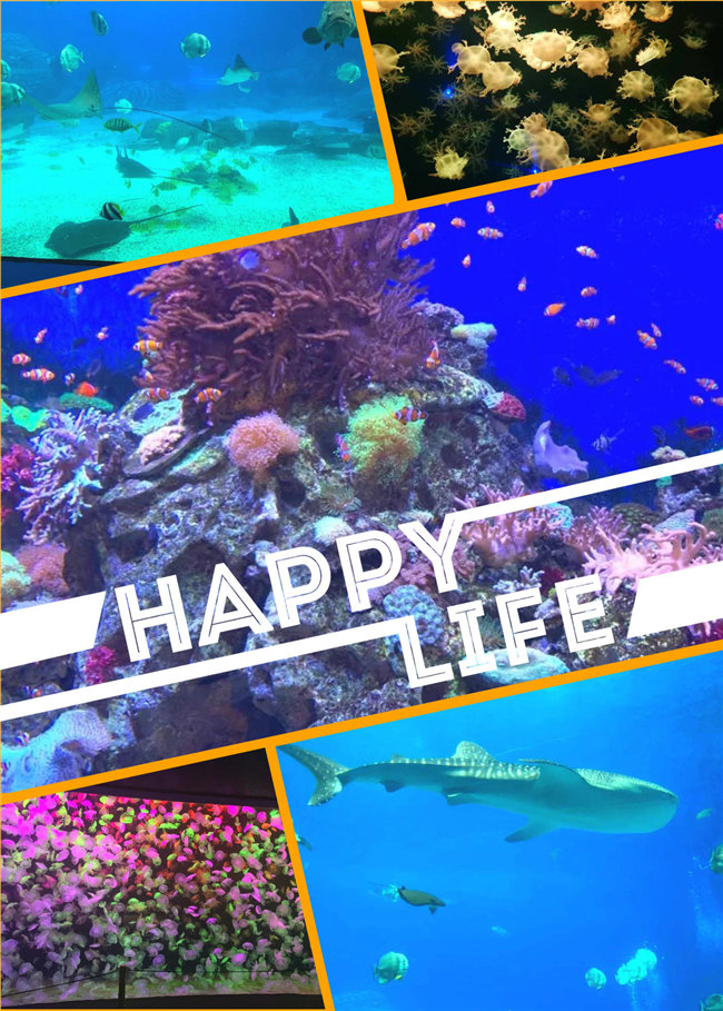 廣東博皓親子游：珠海長隆海洋王國，探索海洋生物的奧秘，奇妙的動物世界