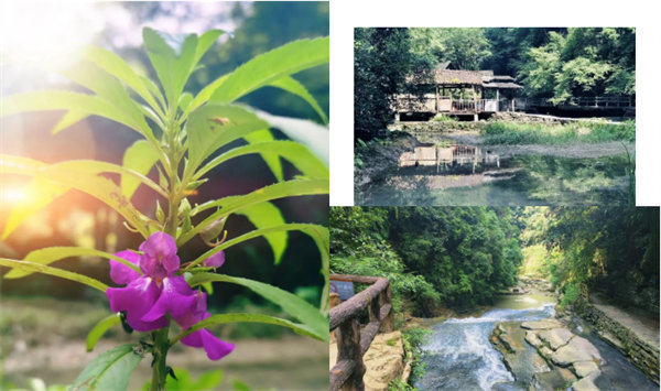 “湘”約鳳凰，相守未來——2022博皓快樂湖南行    -34