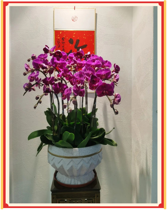 廣東博皓開工大吉丨金虎騰躍，兔來運(yùn)轉(zhuǎn)           -23