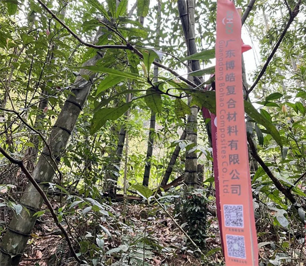 凝心聚力再出發(fā)，風(fēng)雨同舟赴星溪！--廣東博皓2024龍年首登星溪之旅     -2
