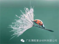 【博皓感悟】成功，要“借力”，不要“盡力”
