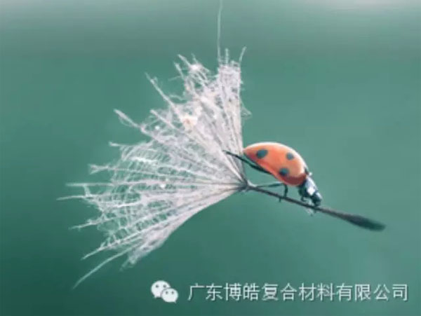 【博皓感悟】成功，要“借力”，不要“盡力”
